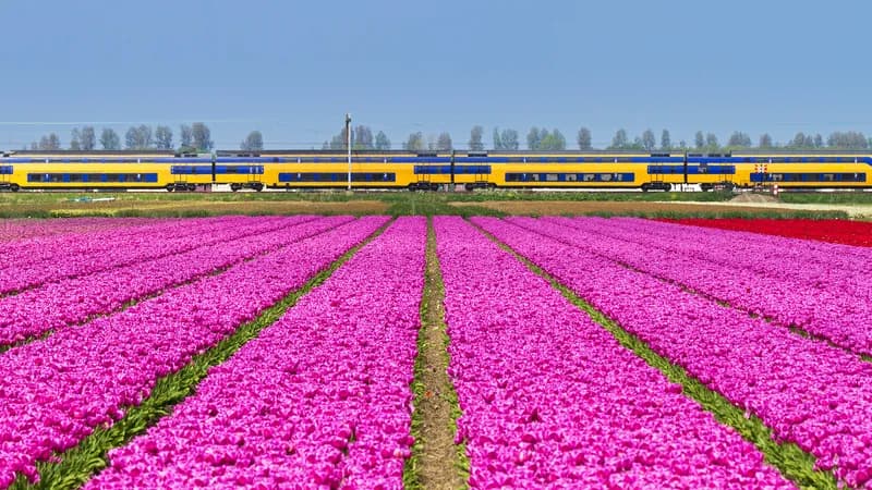 Niederlande starten 49-Euro-Sommerzugticket