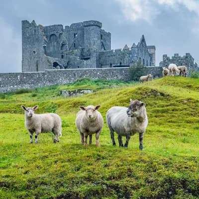 irland5 jpg