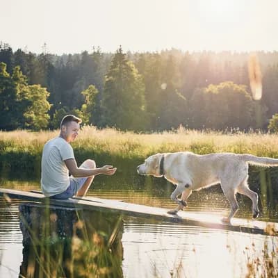 Wie geht eine Kreuzfahrt mit Hund?