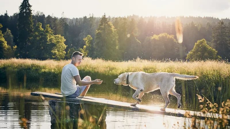 Traveling the world with your best friend