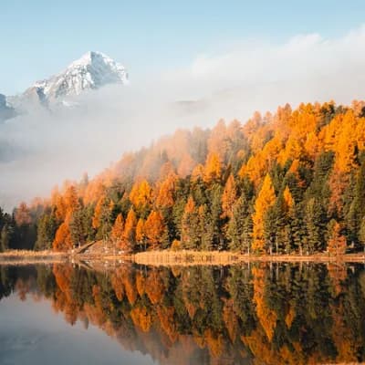 istock ascentxmedia jpg