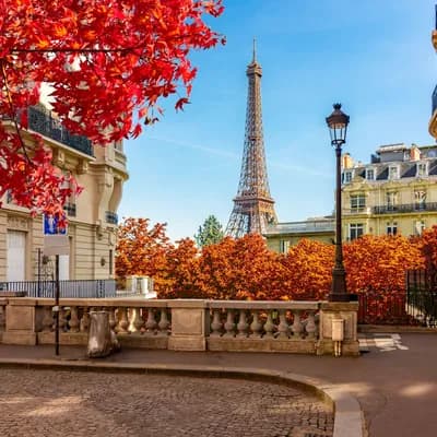 Céline Dion beschert Paris neuen Tourismusboom