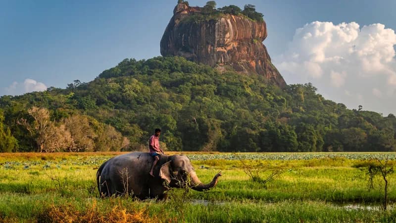 Sri Lanka supprime les frais de visa pour les voyageurs allemands