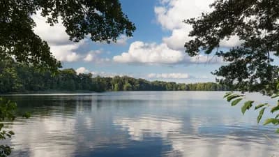 Wurlsee reaches 2.5 meters visibility depth