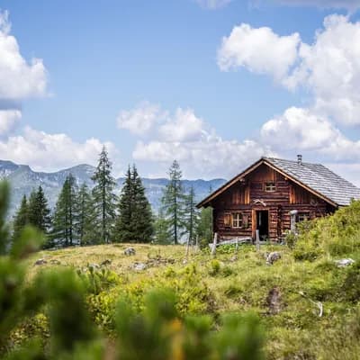 istock patrick daxenbichler