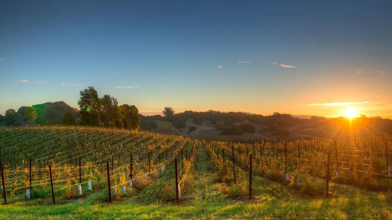 Napa Valley mise sur des offres inclusives et un œnotourisme queer-friendly