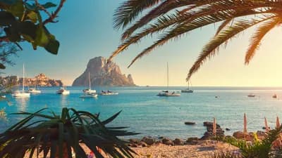 Immer mehr Schlangen schwimmen von Ibiza auf Nachbarinseln