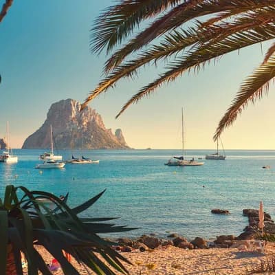 Immer mehr Schlangen schwimmen von Ibiza auf Nachbarinseln