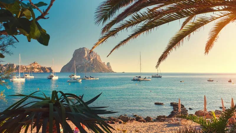 Immer mehr Schlangen schwimmen von Ibiza auf Nachbarinseln