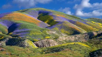 Los Angeles as a Multicultural Short Trip Destination for LGBTIQ+ Travelers