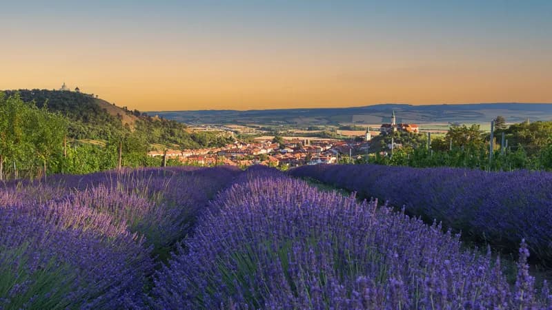 Les villes les plus romantiques d'Europe