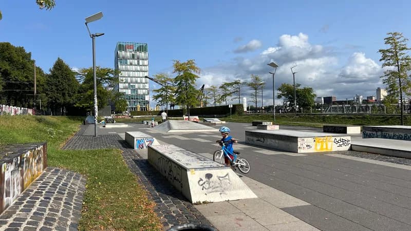 Weinmarkt am Kölner Rheinufer – Wochenendöffnung (Sonntag)