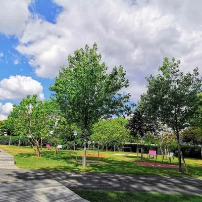 Peoples Park ("Bürgerpark")