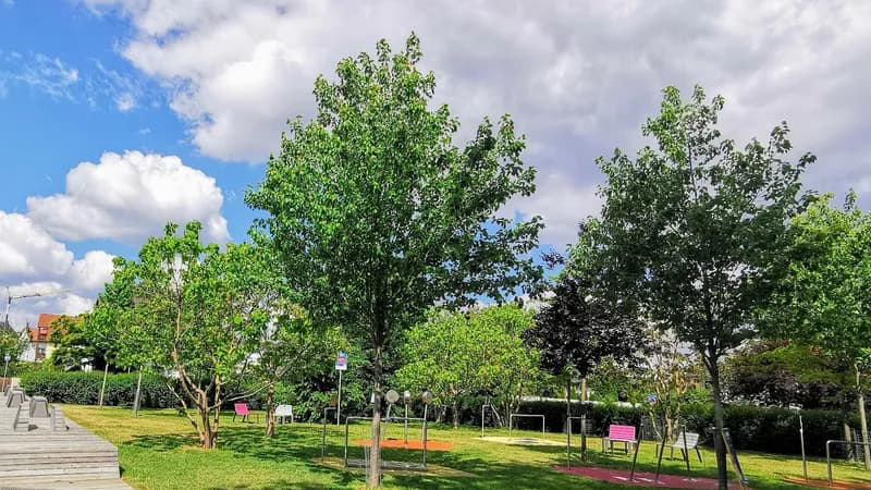 Peoples Park ("Bürgerpark")