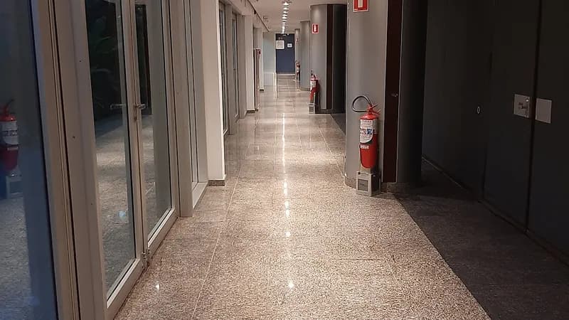The American Society of São Paulo