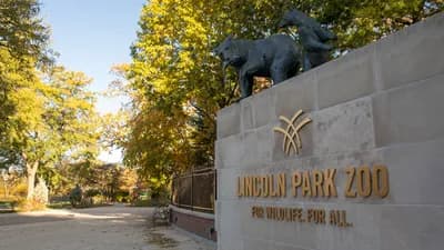 Lincoln Park Zoo