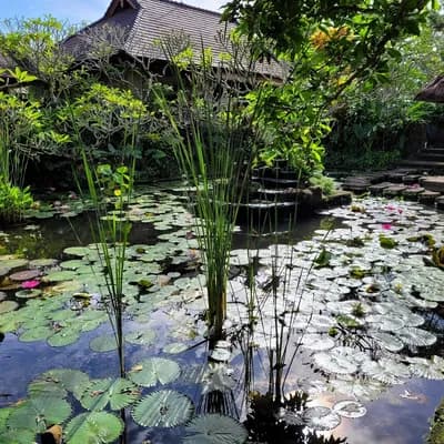 Ananda Ubud Resort
