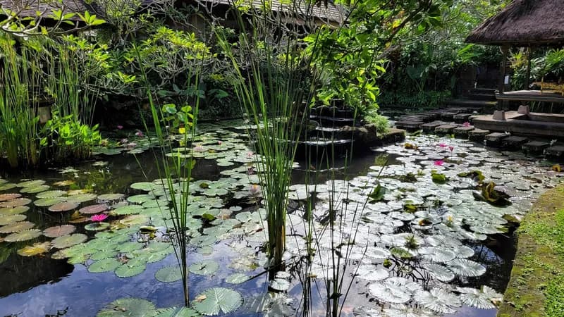 Ananda Ubud Resort