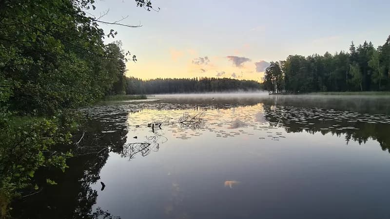 Sipoonkorpi-Nationalpark