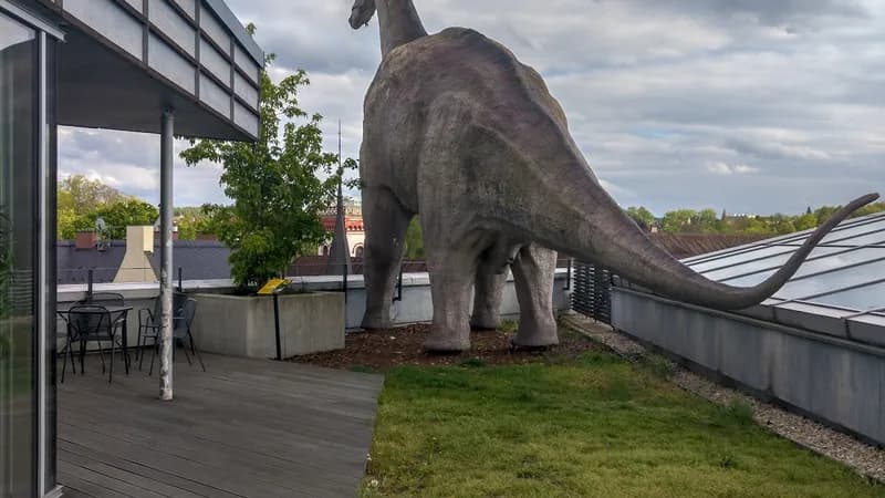 Apartmány Friday