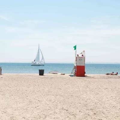 Hanlan's Point Beach