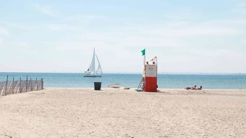 Hanlan's Point Beach