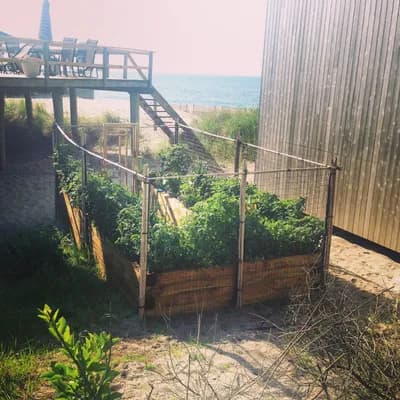 Fire Island Pines