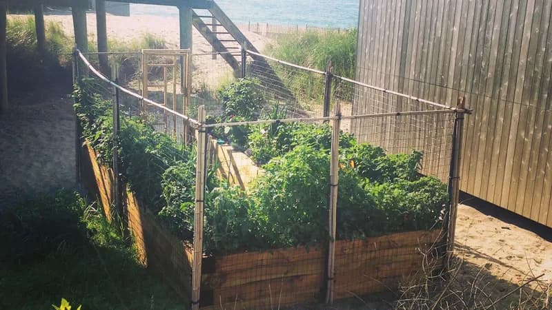 Fire Island Pines