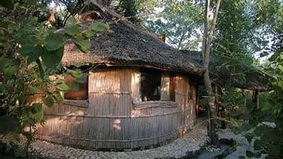 Nkwichi Lodge
