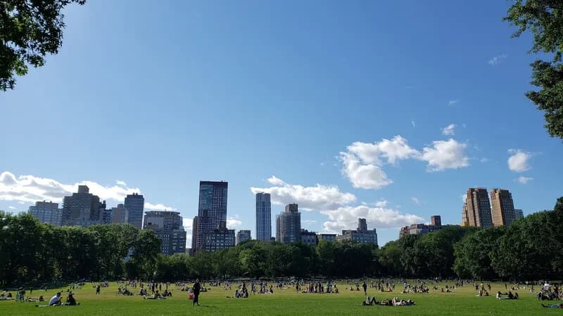Sheep Meadow
