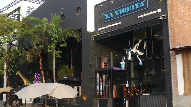 La Vaquita