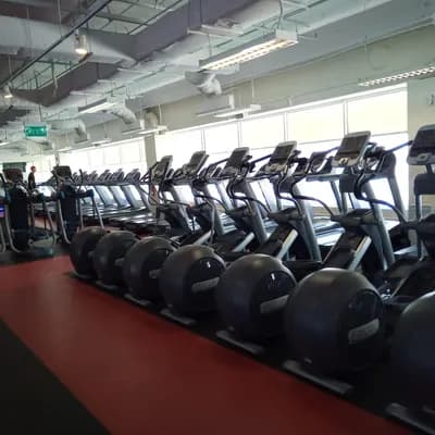 True Fitness