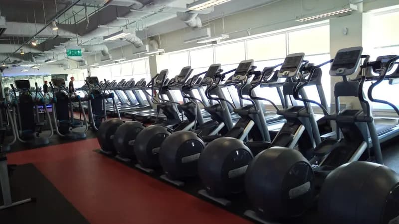 True Fitness