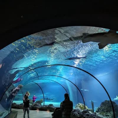 Rotterdam Zoo