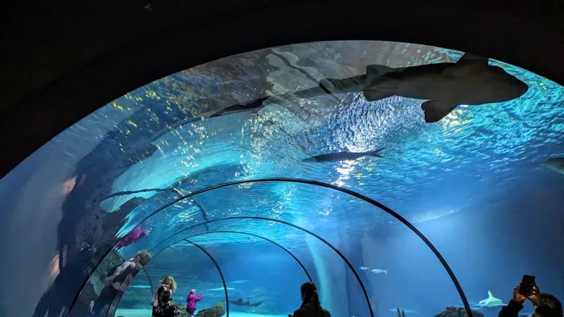 Rotterdam Zoo