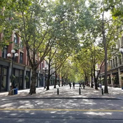 Occidental Square