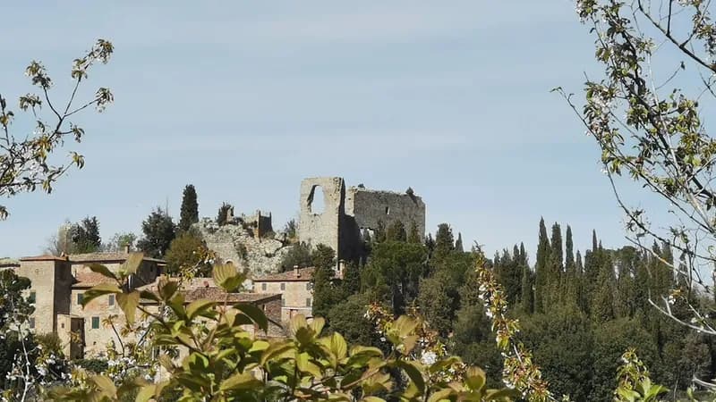 Castello Montelifre'