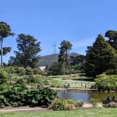 San Francisco Botanical Garden