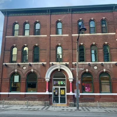 The 519