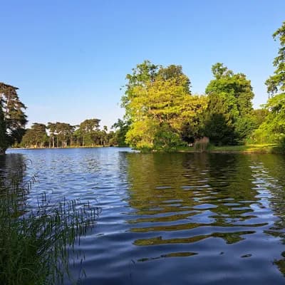 Bois de Boulogne