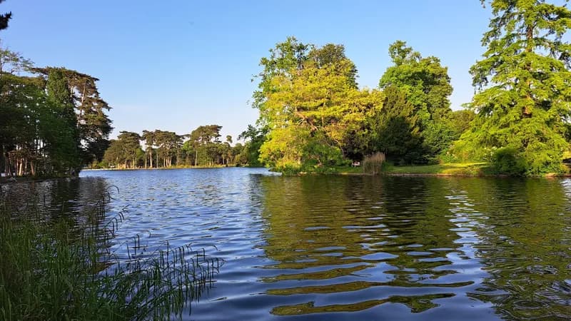 Bois de Boulogne