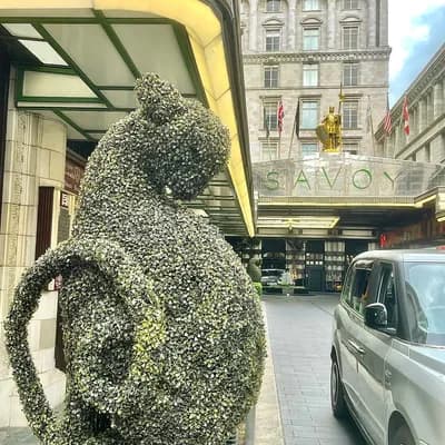 Savoy Hotel