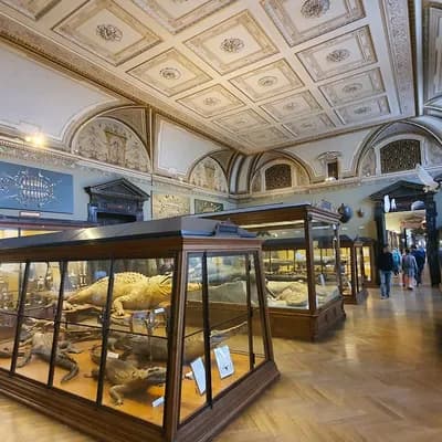 Musée d'Histoire Naturelle de Vienne