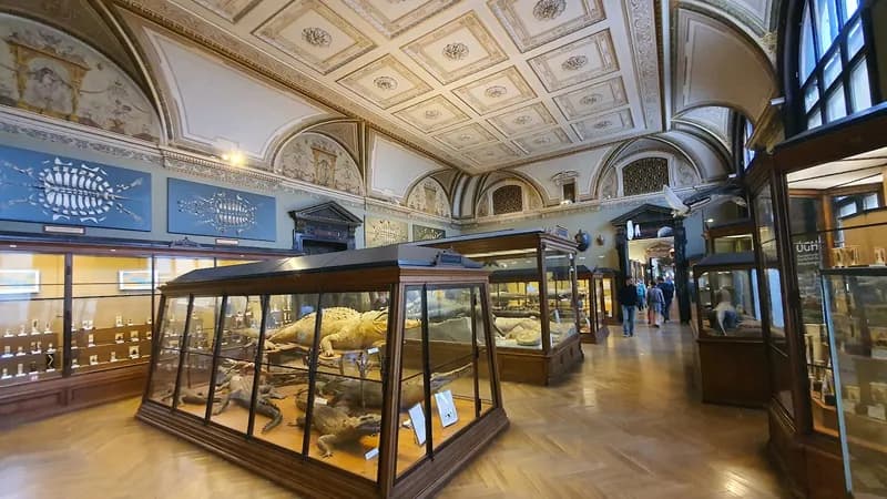 Musée d'Histoire Naturelle de Vienne