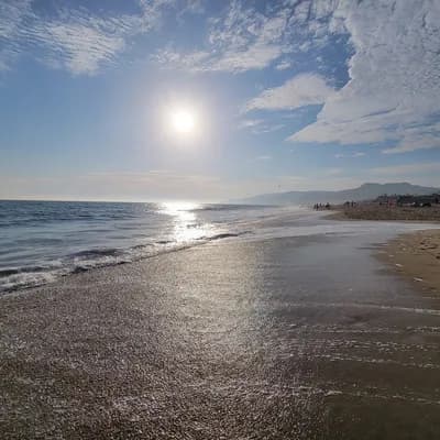 Will Rogers State Beach