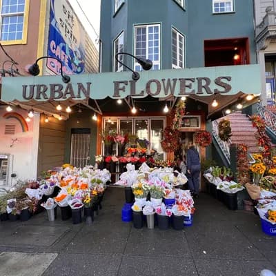 Urban Flowers