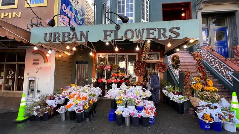 Urban Flowers