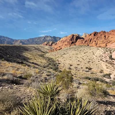 Red Rock Canyon