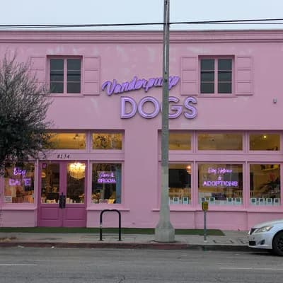 Vanderpump Dogs