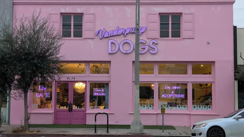 Vanderpump Dogs